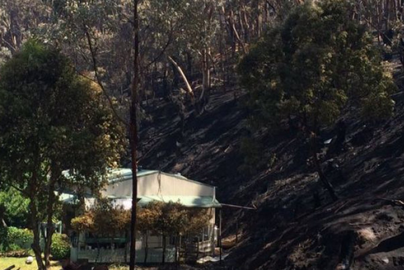 The Jacobs home in Separation Creek escaped the fire. Picture: Tom Jacobs.