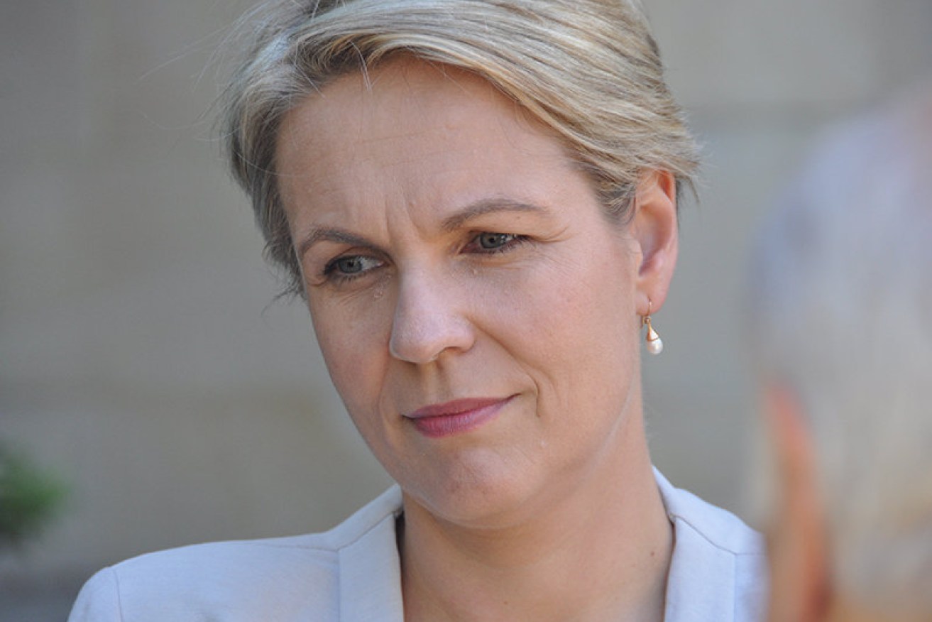 Opposition deputy leader Tanya Plibersek rates the plan too little and far too late. <i>AAP /Tim Clarke</i>