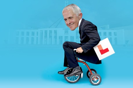 Turnbull looks shaky on his trainer-wheels