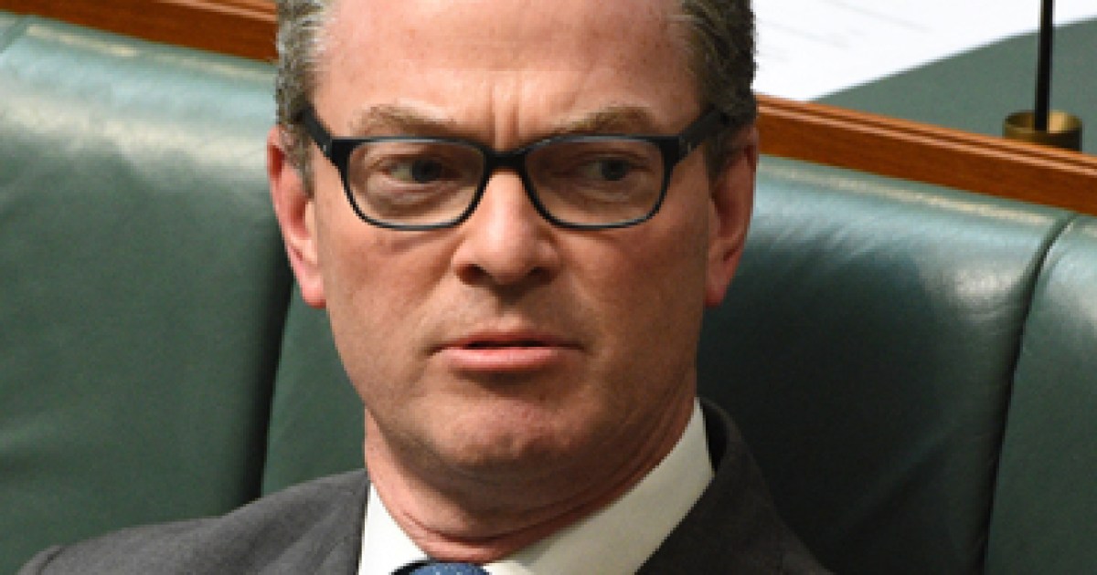 Pyne 'disappointed' over Macfarlane switch| The New Daily