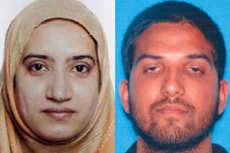 FBI: shooters were &#8216;radicalised&#8217;