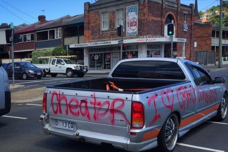 ‘I love crack whores’: ute cops it in bust-up