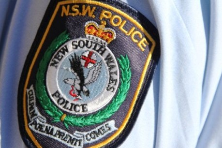 Sydney teen accused of terror plan released on bail