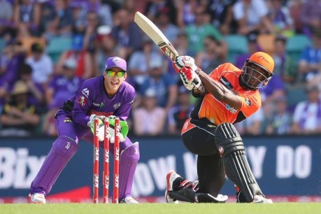 Scorchers top Big Bash table after narrow win