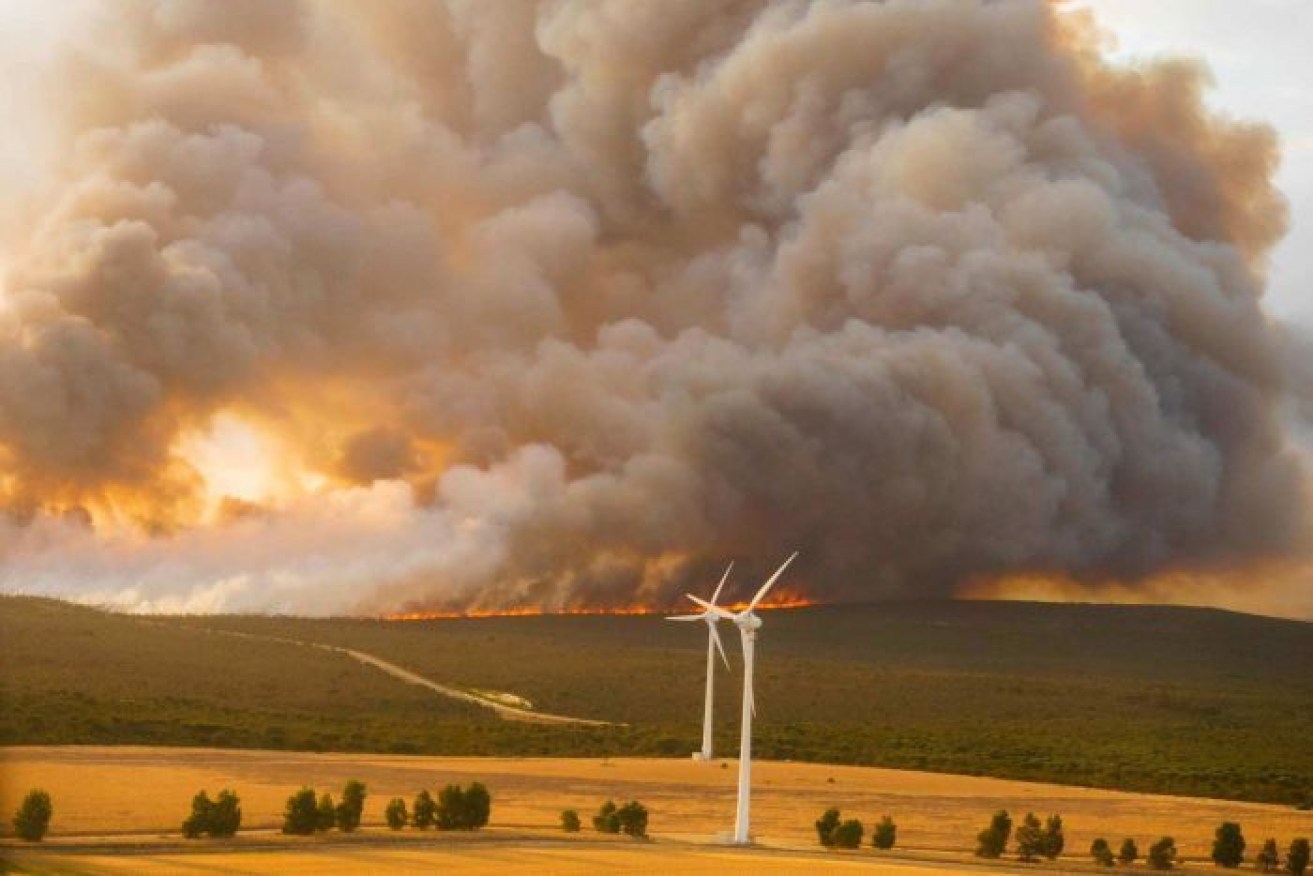 Australia can expect more bushfires and extreme heat events.