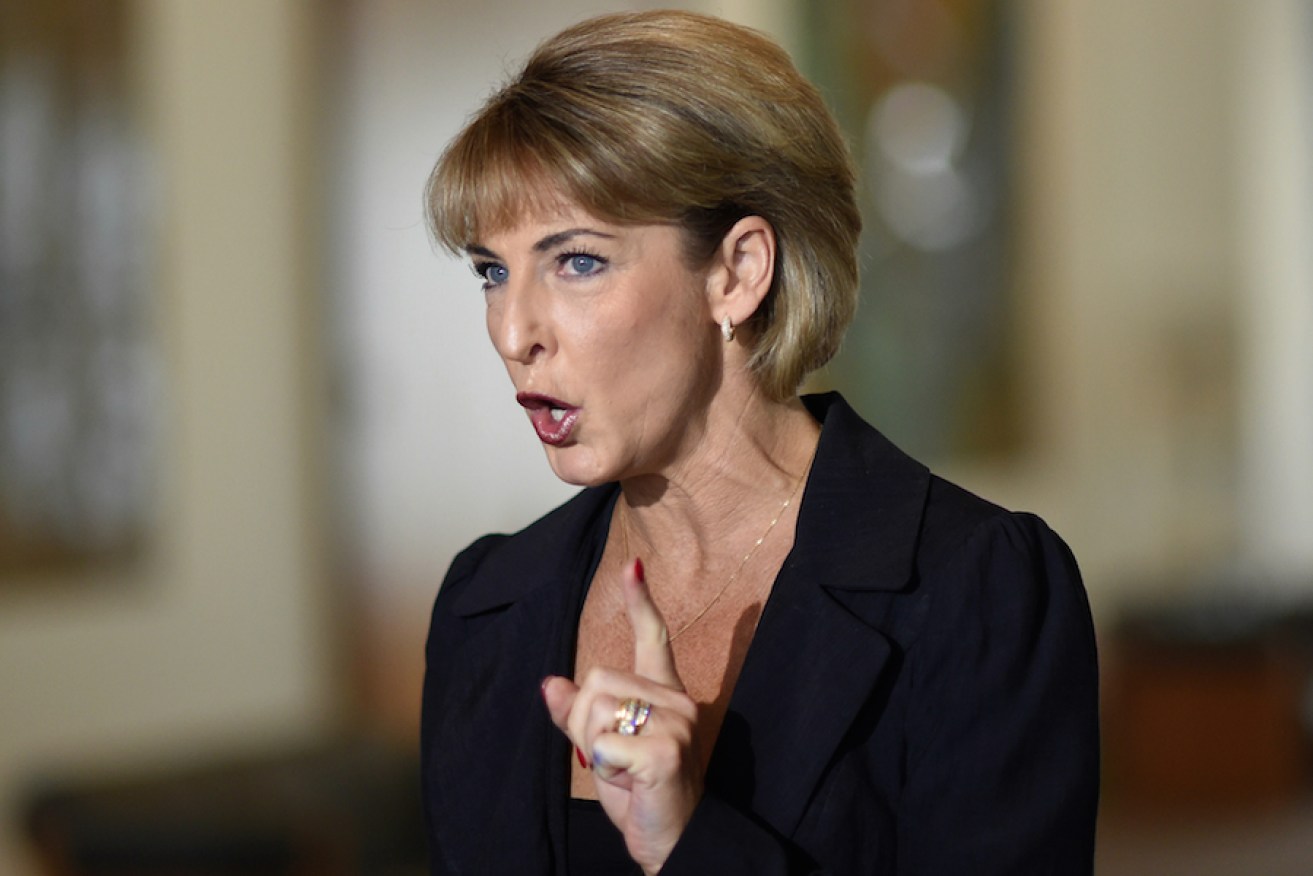 Labor gave Michaelia Cash a free hit. And she took it. Photo: Getty