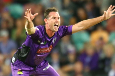 Hurricanes beat Thunder by 11 runs in BBL