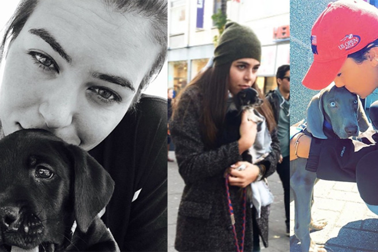 Tomljanovic with her many dogs. Photo: Instagram