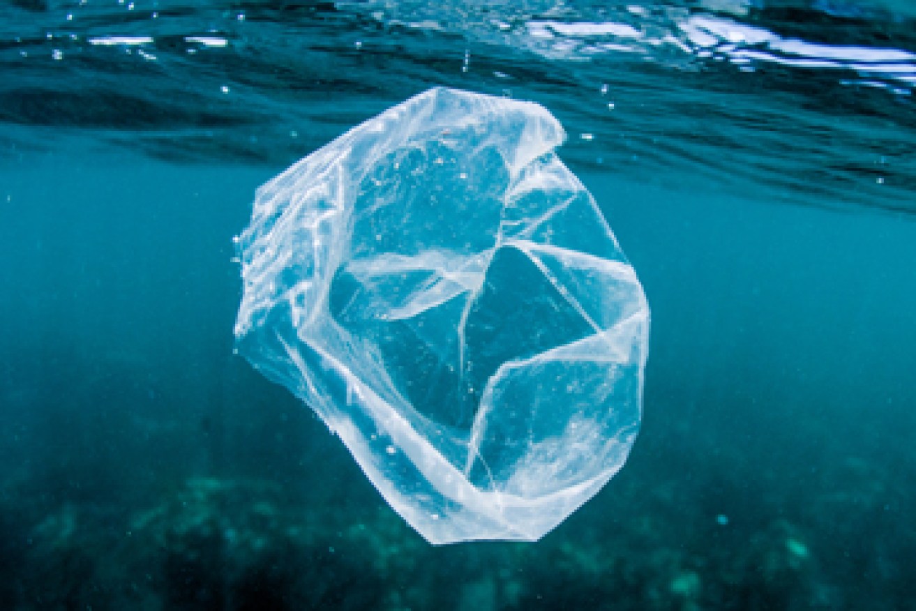 Plastic bag ocean. Photo: Getty