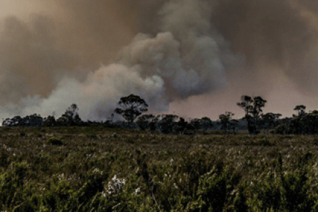 Buildings damaged by bushfire in Tasmania