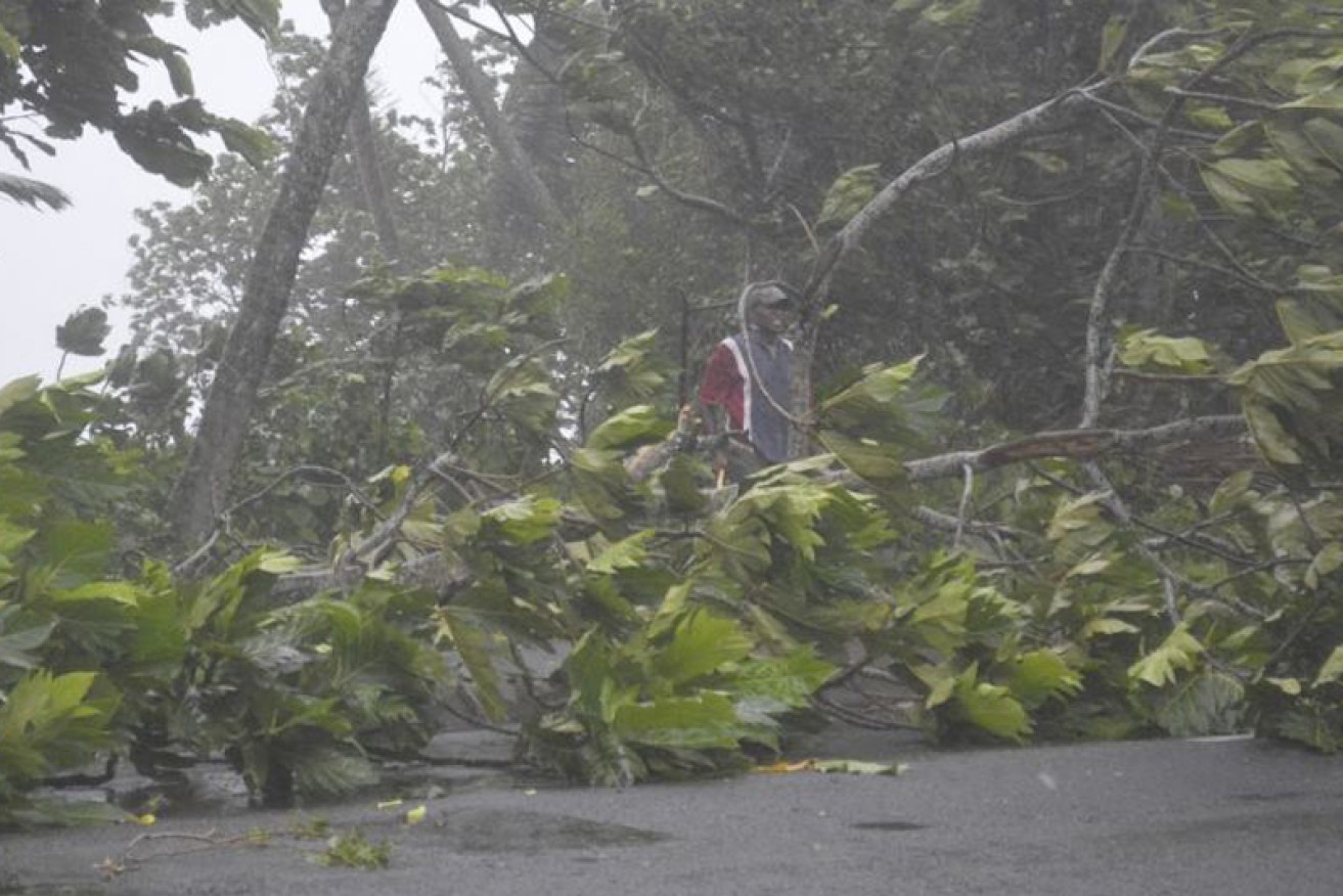 Trees have fallen on the Fiji mainland.

Supplied: Joe Yaya