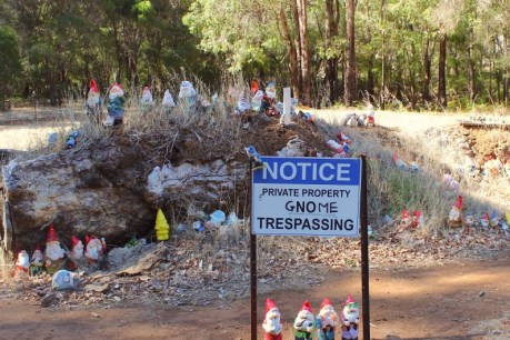 Gnomesville becomes a victim of its own success