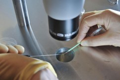 Hackers may have stolen IVF patients’ personal data