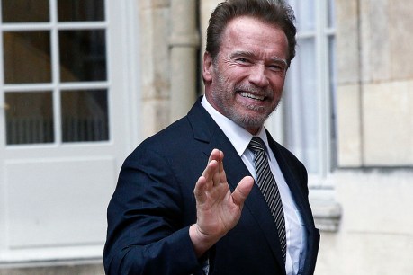 Schwarzenegger detained at German airport over watch