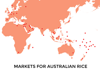 Australian-grown rice a big hit in Asia | The New Daily