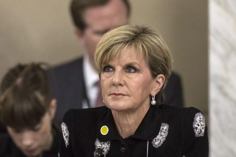 Bishop: Progress made in IS fight