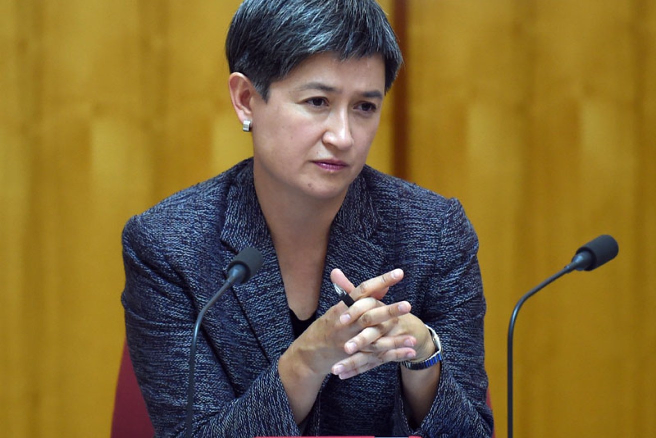 Liberal MP Ian Macdonald asked whether Senator Penny Wong was related to Chinese billionaire Huang Xiangmo. 