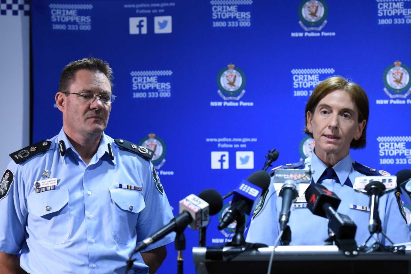 Deputy Commissioner Catherine Burn alleged the boys planned an attack.