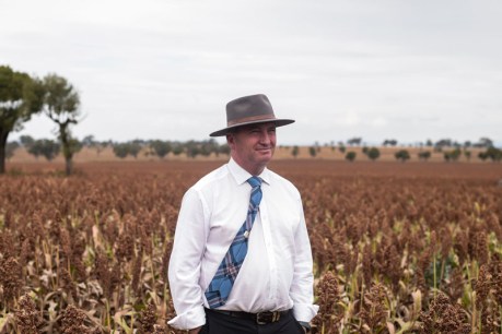 Why Barnaby is wrong about farm investment