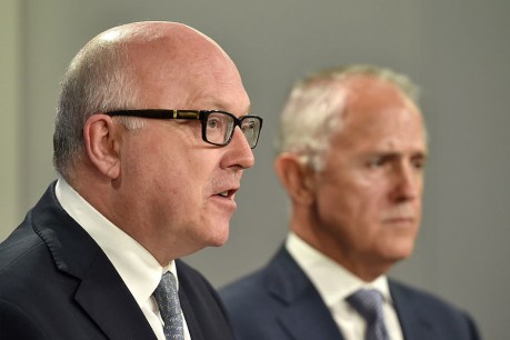 Ex-Australia Council CEO to PM: &#8216;stop the madness&#8217;