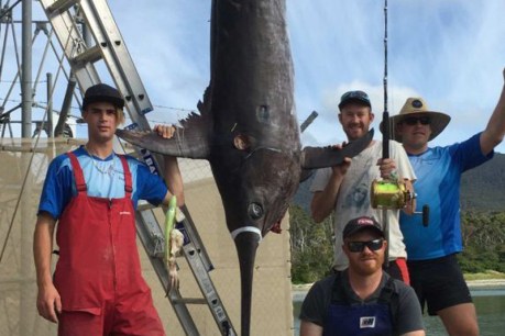 This fisherman just landed a giant swordfish