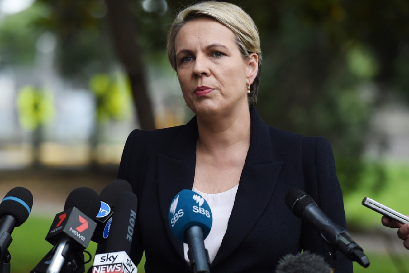 Tanya Plibersek says the move is like something out of a dictatorship. Photo: AAP