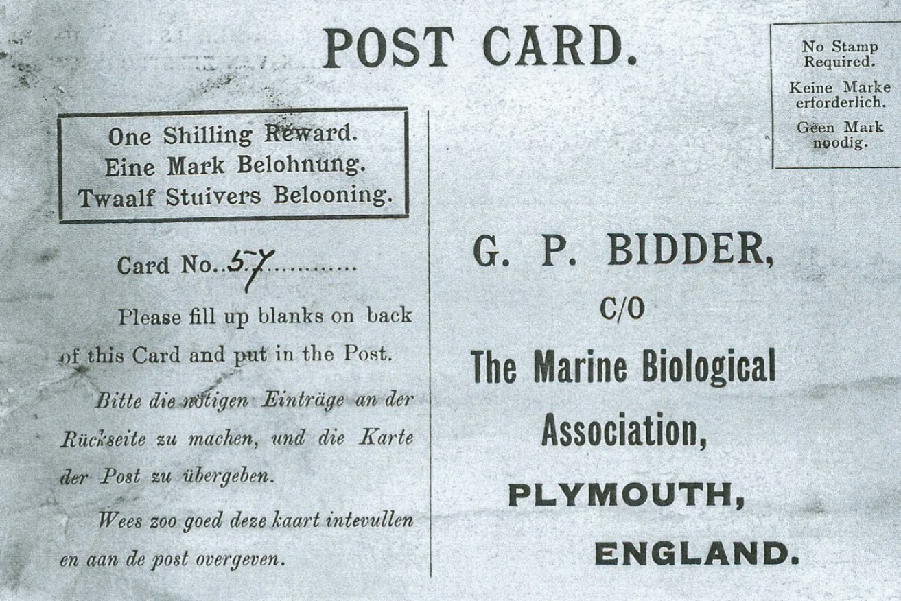 Marine Biological Association of the U.K