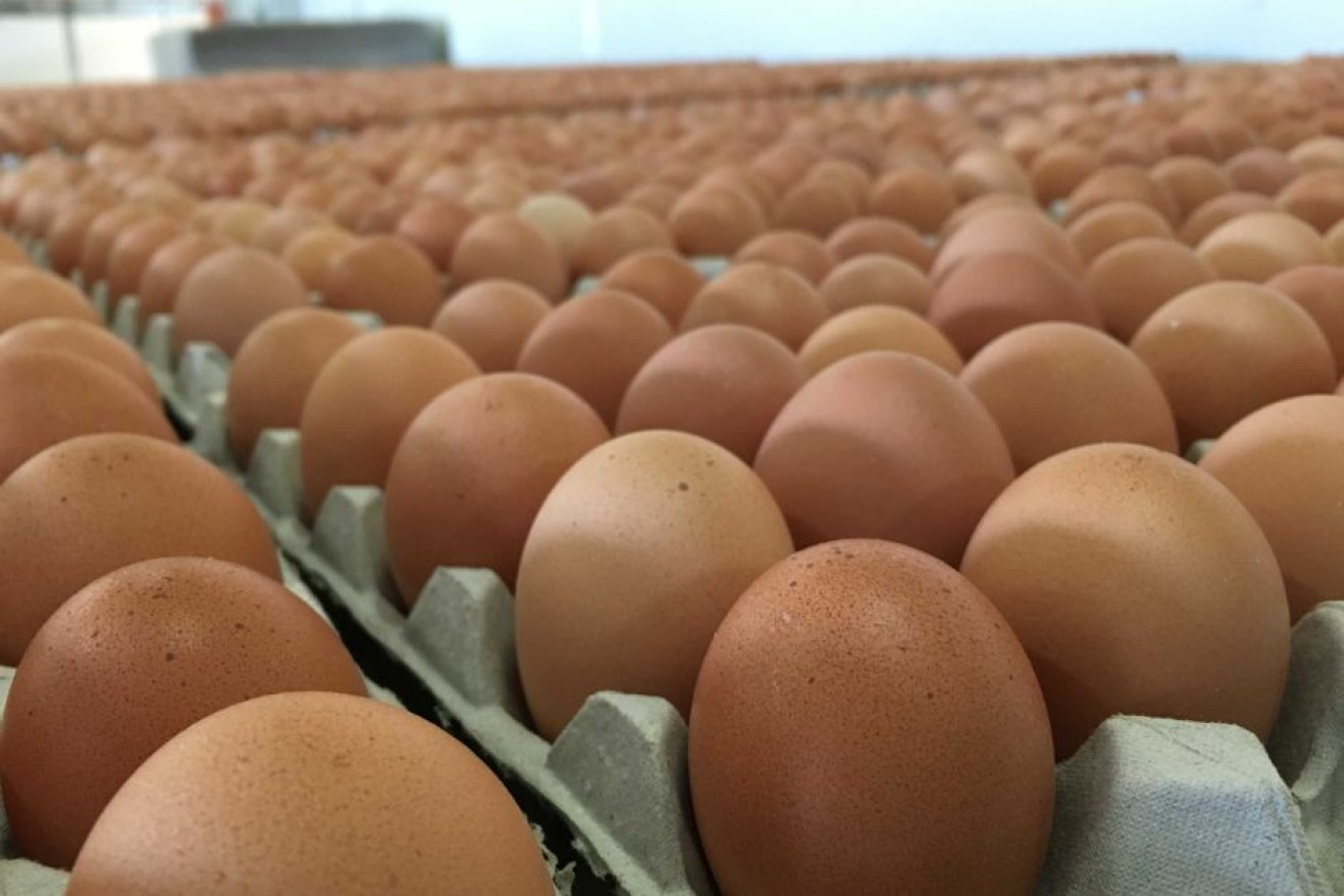 Free Range Egg Farms were fined $300,000. Photo: ABC