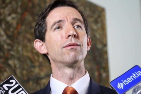 China leaves Trade Minister Simon Birmingham hanging on the telephone