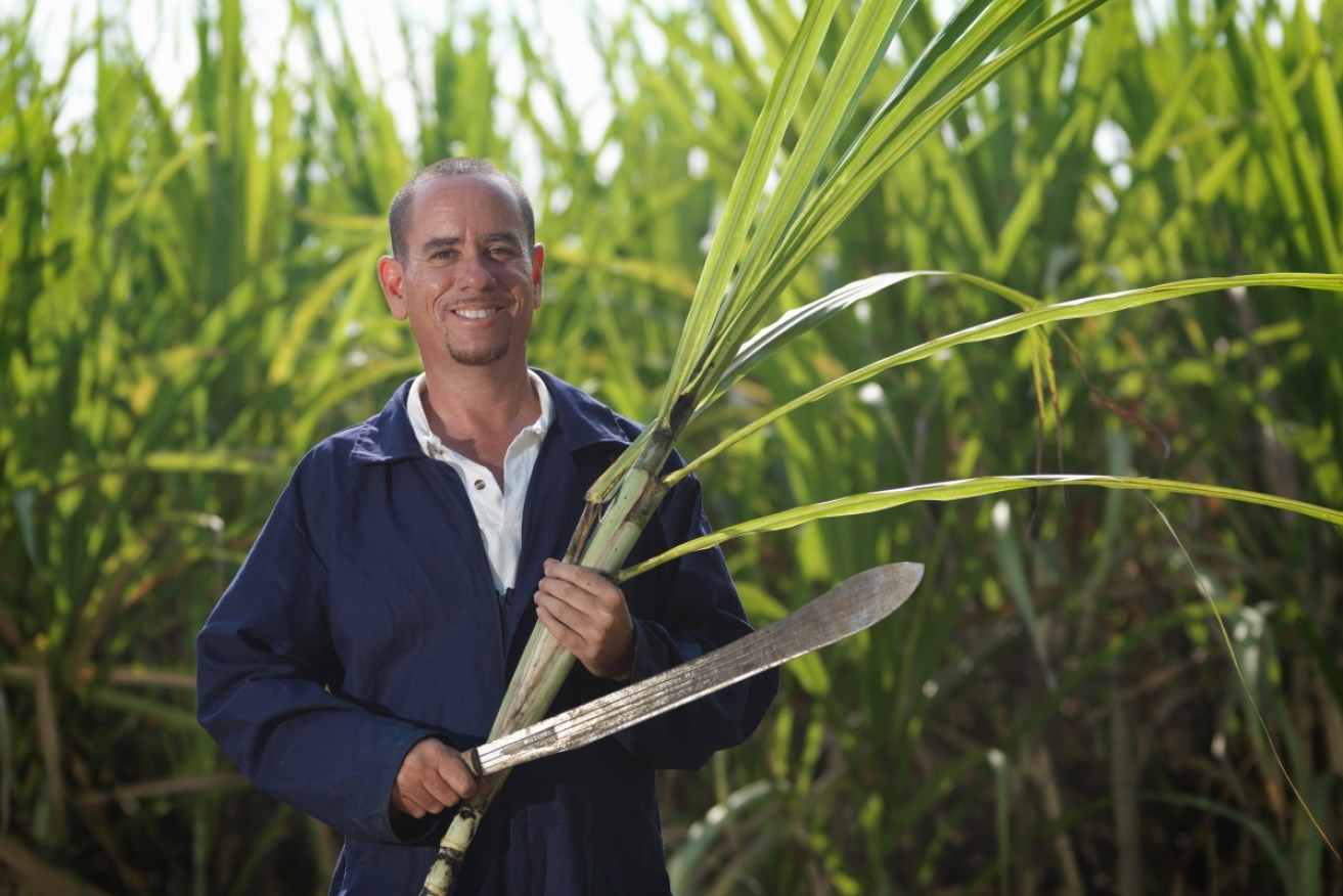 Sugar growers like bio-fuels subsidies. Photo: Getty