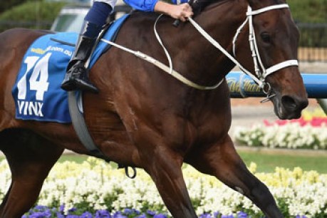 Punter furious after losing $156k on Winx withdrawal