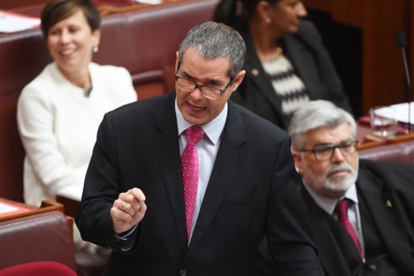 Senior Labor senator Stephen Conroy in shock retirement