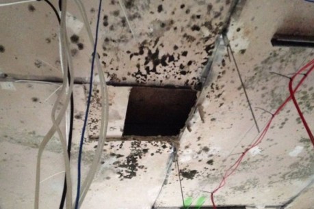 Workers sick from &#8216;deadly&#8217; mould at hospital: claims