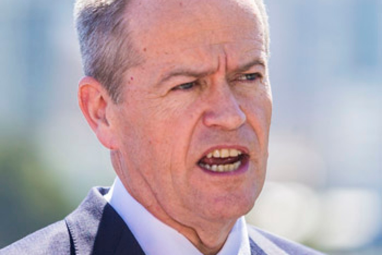 Opposition Leader Bill Shorten has promised to call a Royal Commission if elected. Photo: AAP