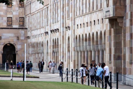 Uni boss calls overseas student cap 'chaos'