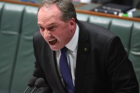 Joyce&#8217;s solution to house prices? Move to the bush