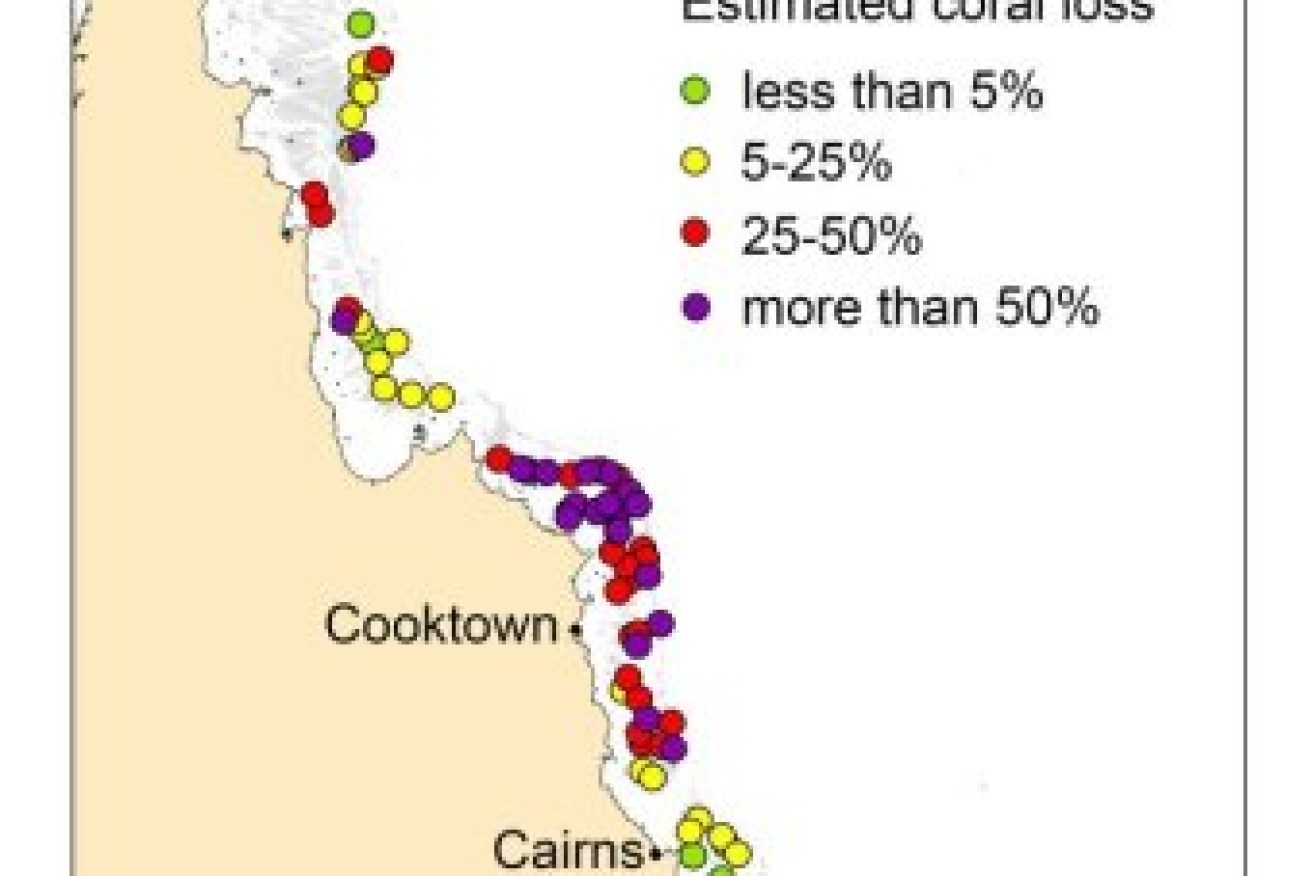 A map of mortality estimates on coral reefs along 1,100 kilometres of the Great Barrier Reef.