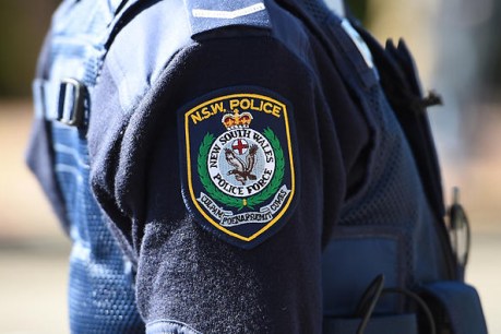 NSW brothers charged over right-wing terror plot