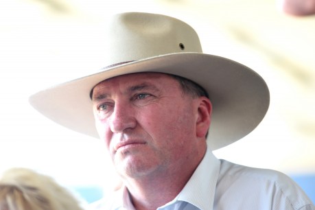 Stop chucking poo, Barnaby Joyce tells Tony Windsor