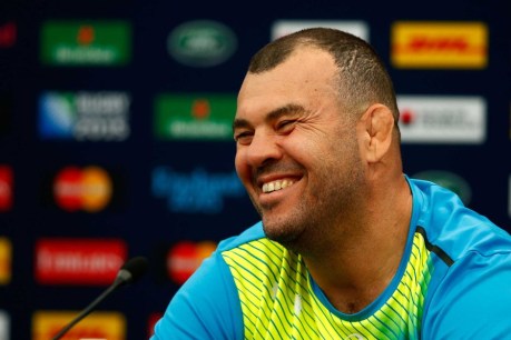 Cheika plays peacemaker at fiery press conference