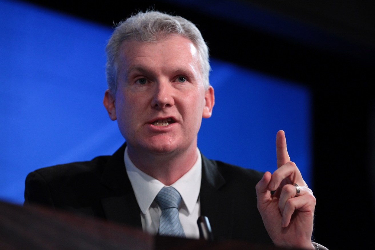 Labor frontbencher and environment spokesman Tony Burke. 