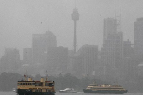 NSW storm: 5500 call SES, hundreds evacuated