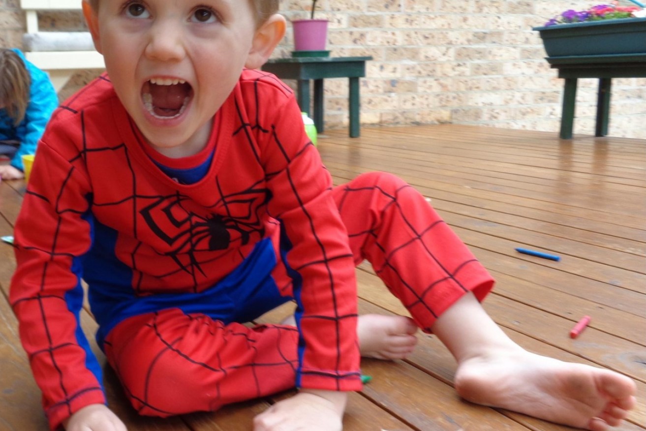 William Tyrrell was playing in the backyard of his foster grandmother's home when he went missing.