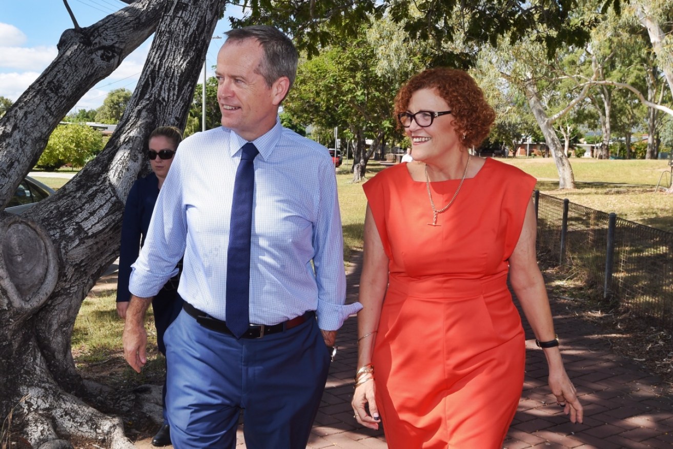 Cathy O'Toole won Herbert by just 37 votes in 2016, but lost it in 2019 to Liberal candidate Phillip Thompson. Photo: AAP