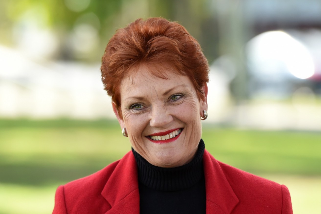 Ms Hanson's comments have raised the ire of many Australians. 