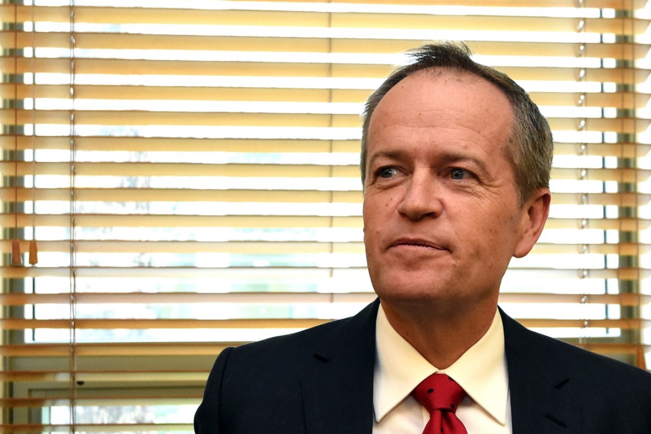 Mr Shorten's leadership should be safe, for now. Photo: AAP