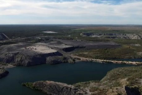 Calls to block $1 sale of massive Queensland coal mine