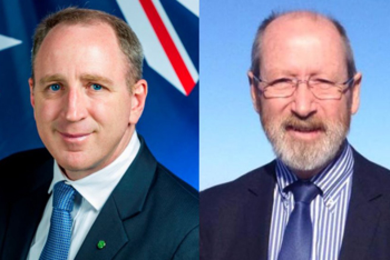 Luke Howarth (Petrie - Qld) and Rowan Ramsey (Grey - SA) look likely to hold their seats for the Liberal Party.