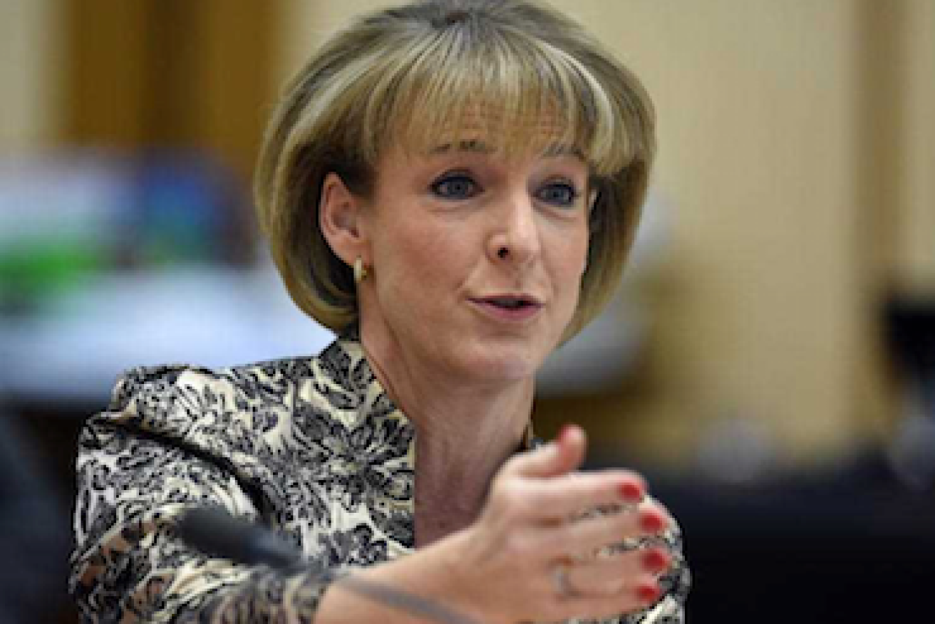 Employment minister Michaelia Cash: accentuating the positive.  Photo: AAP. 