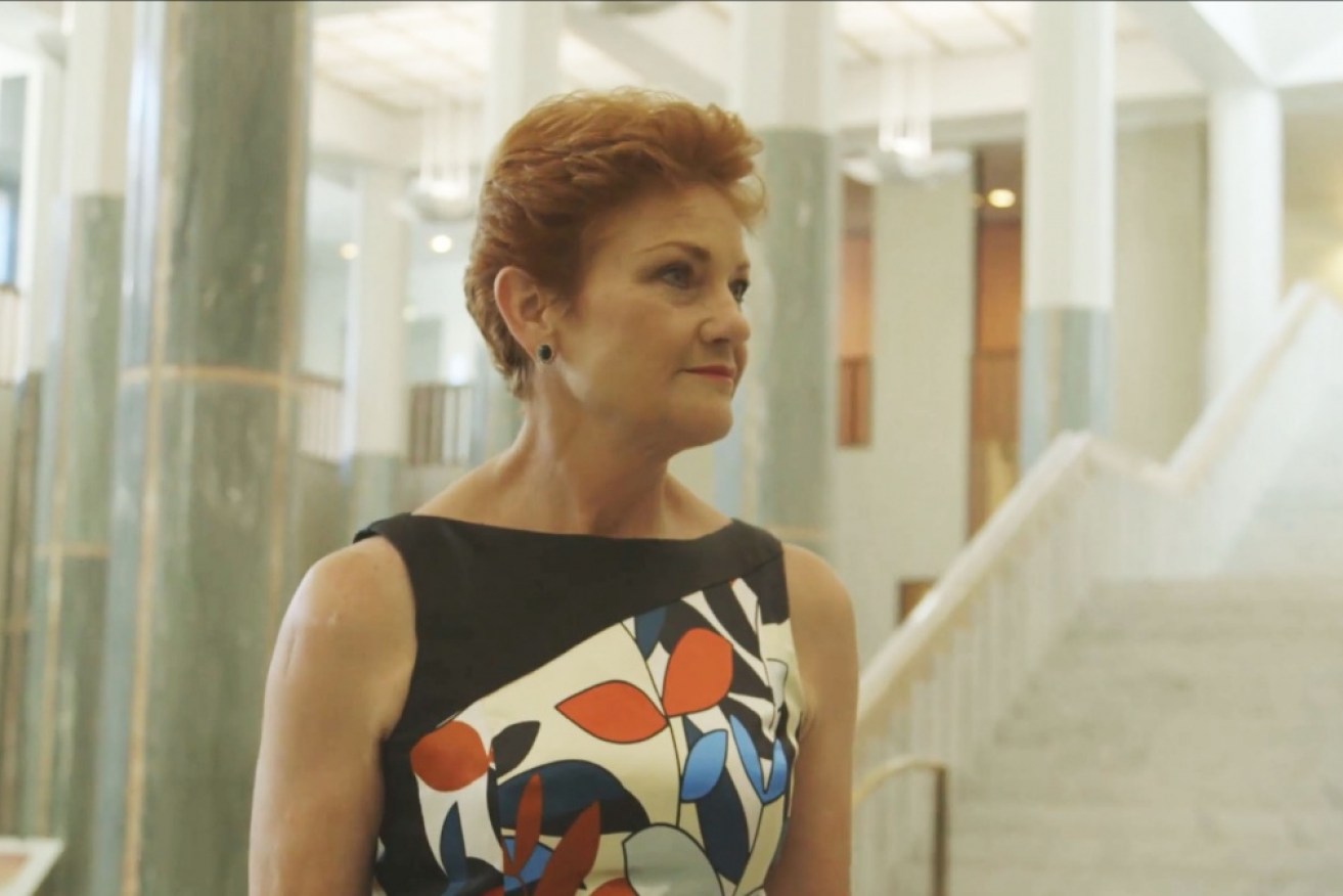 A new documentary paints Pauline Hanson as a manipulated commodity.